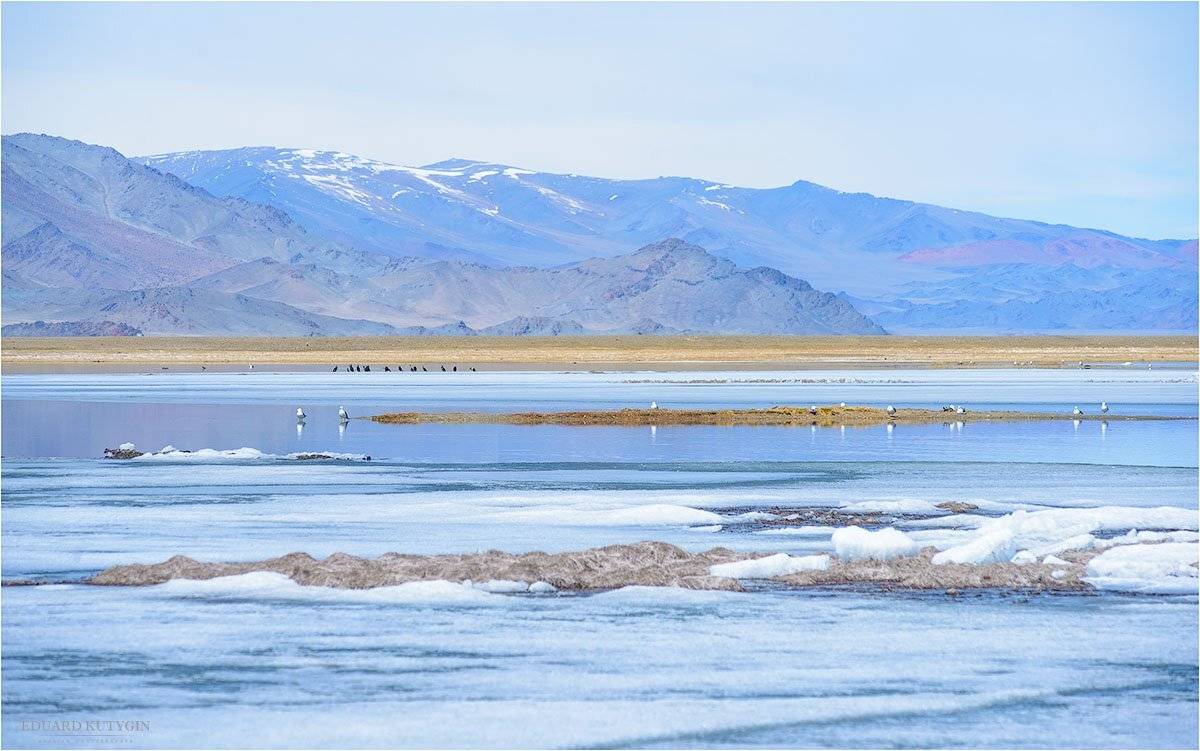 Толбо, нуур, Монголия, Улгий, Кутыгин, Весна, май, Кутыгин Эдуард