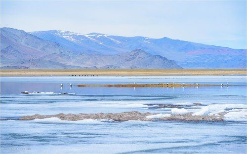 Озеро Толбо нуур