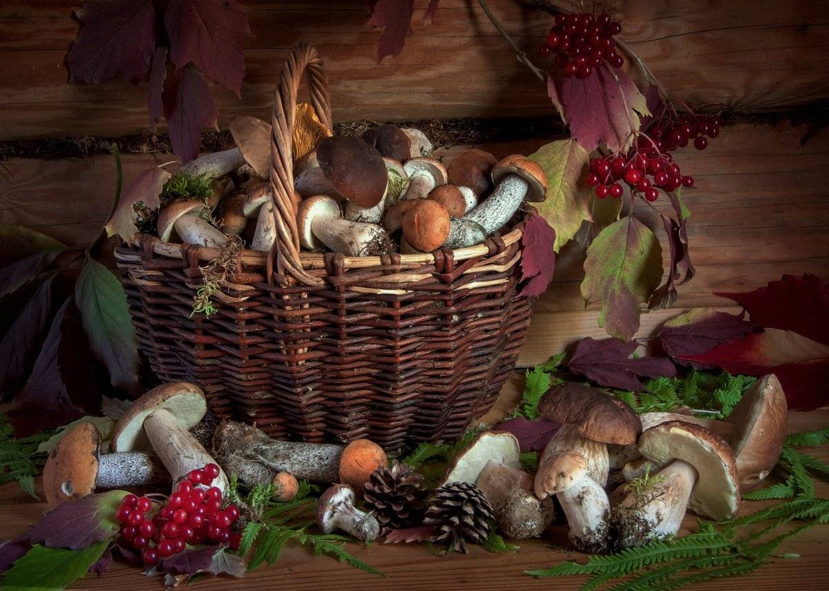 сергей алексеев, натюрморт, грибы, Сергей Алексеев