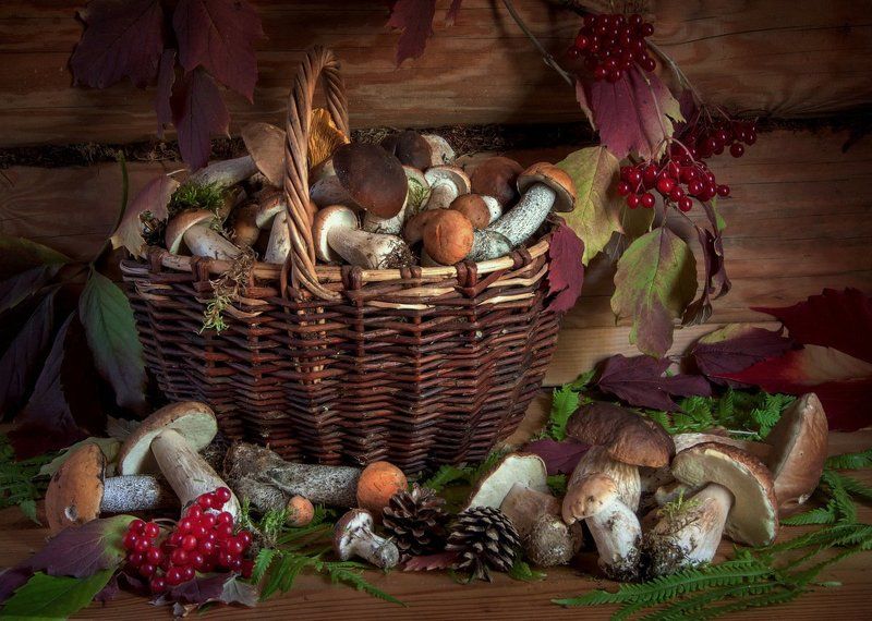 Близ райцентра Петушки фото превью