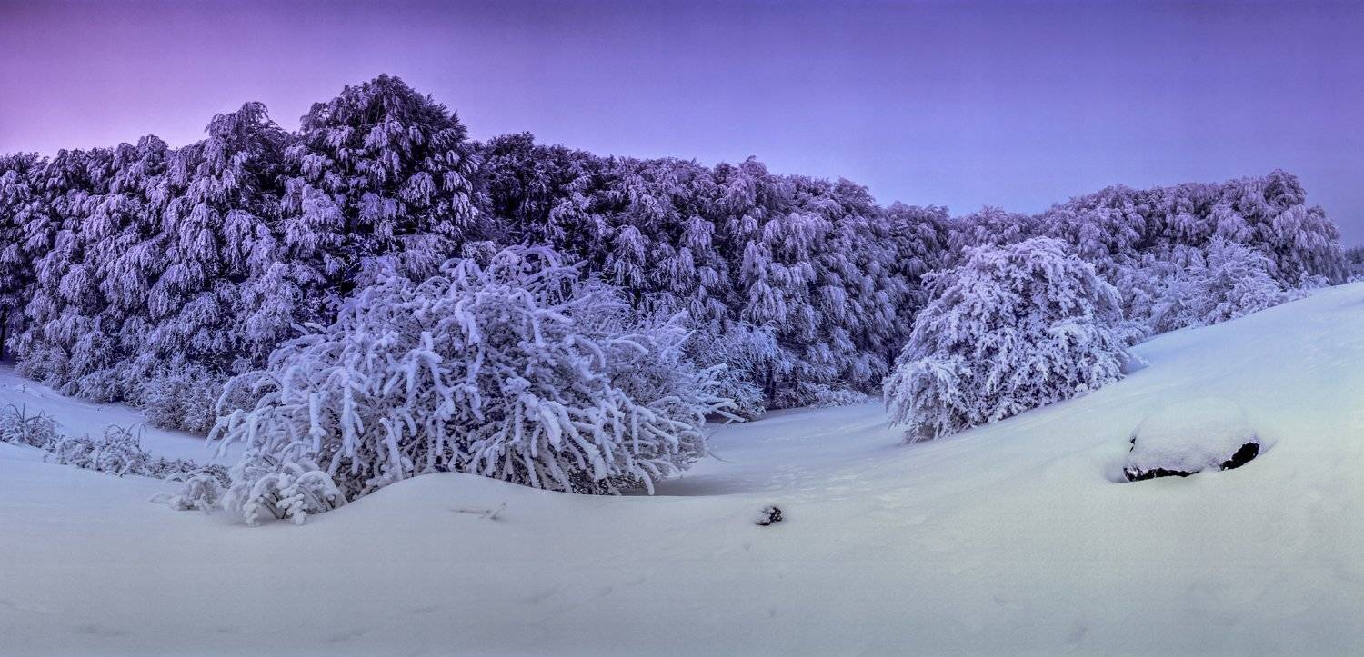 , Станислав Савицкий