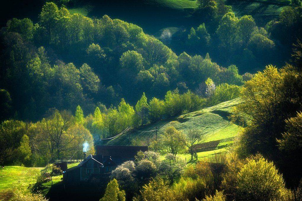 , Stefan Chirobocea