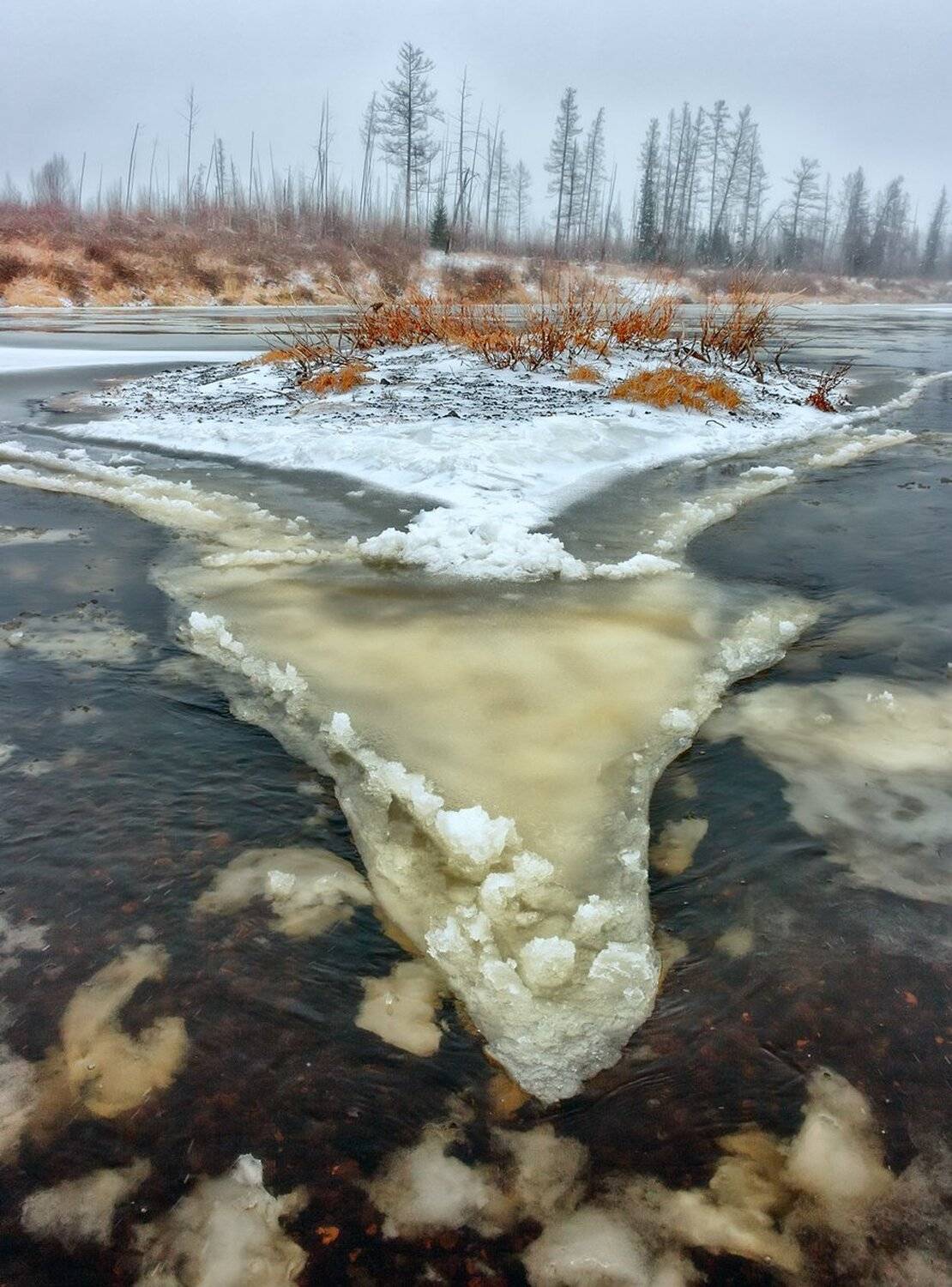 , Николай Андреев
