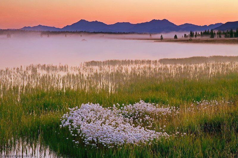 магаданская область, озеро момонтай Утро на озере Момонтай. фото превью