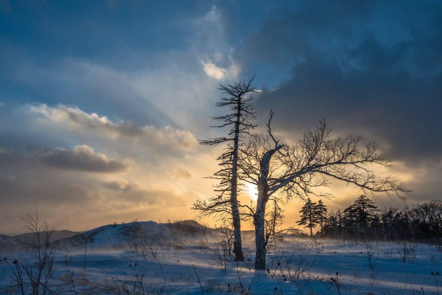 Приморье, Приморский край, Зима, Закат, Виталий Берков
