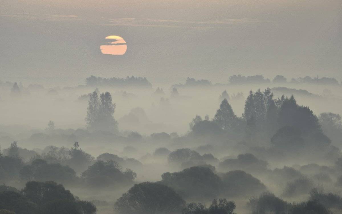 , Валерий Кондратов