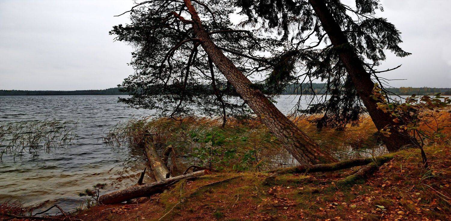 пейзаж, осень, беларусь, природа, Sixten ( Сергей )