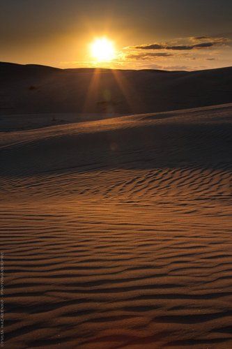 Вечер в песках / Evening in the sands