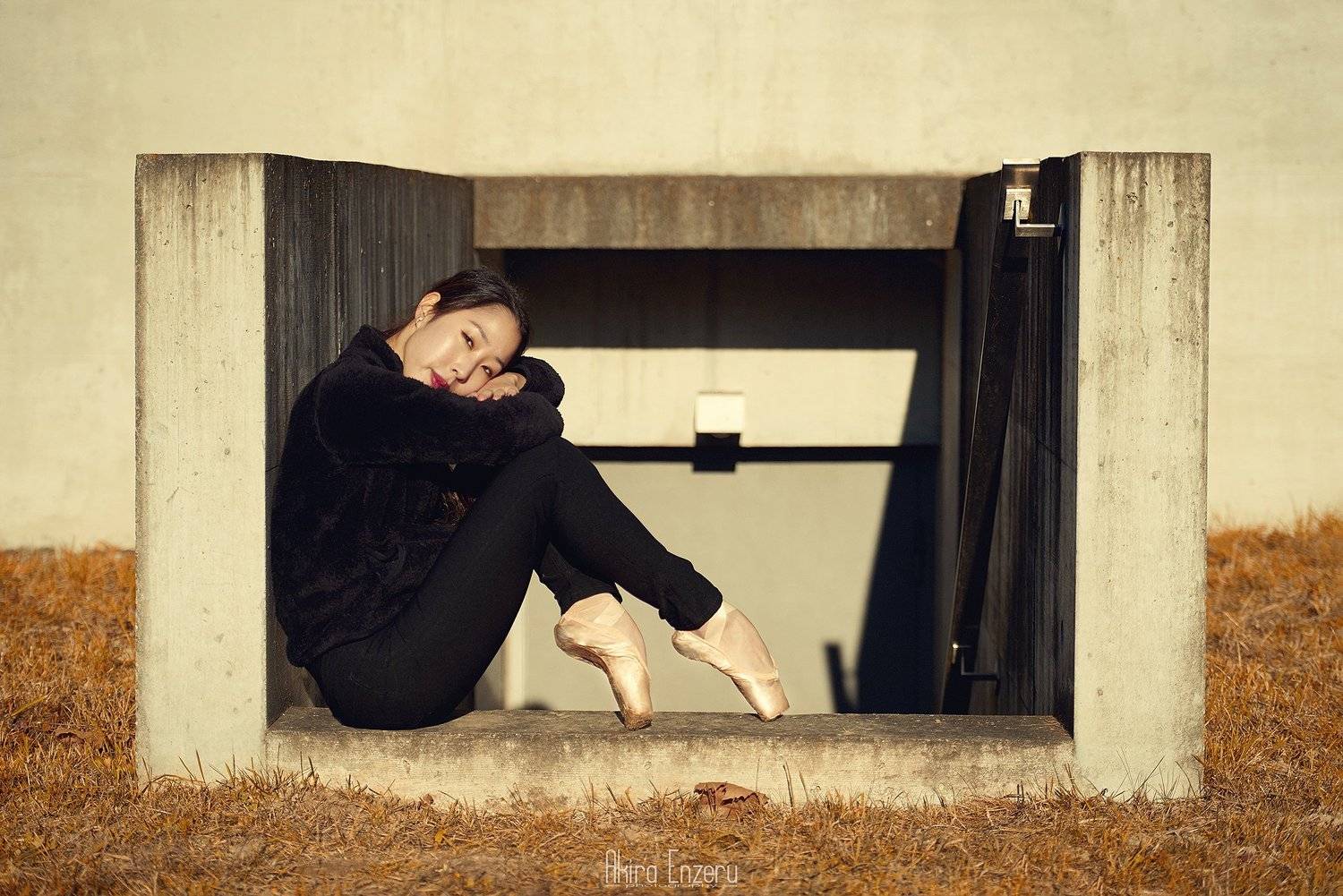 ballerina, dance, dancing, portrait, Enzeru Akira