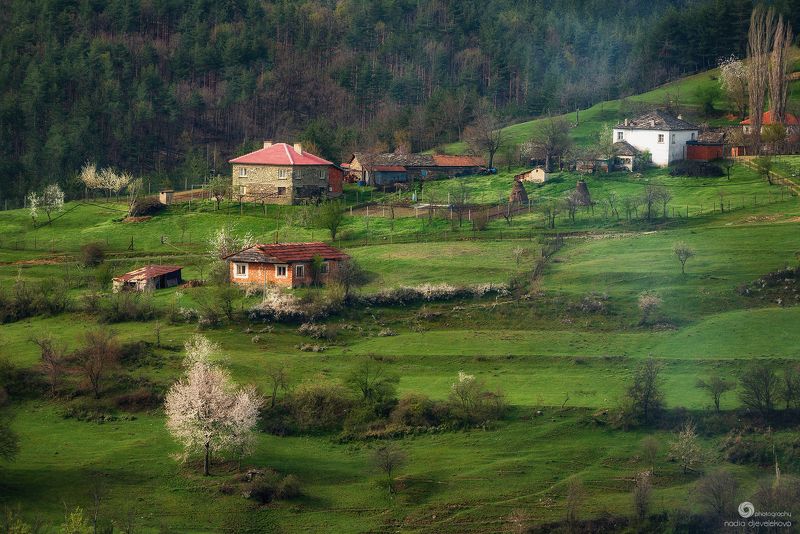 Idyll фото превью