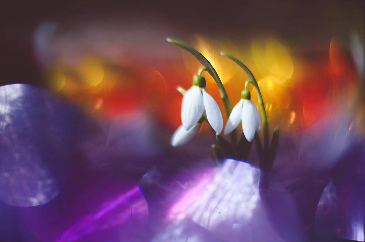 , Татьяна Аверина