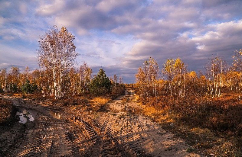 Пьяною походкою разгуливает осень фото превью