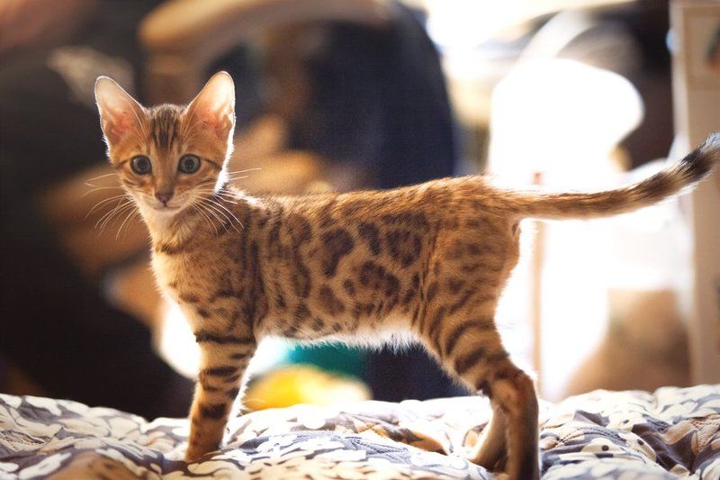 mr.filler Про позирование :) фото превью