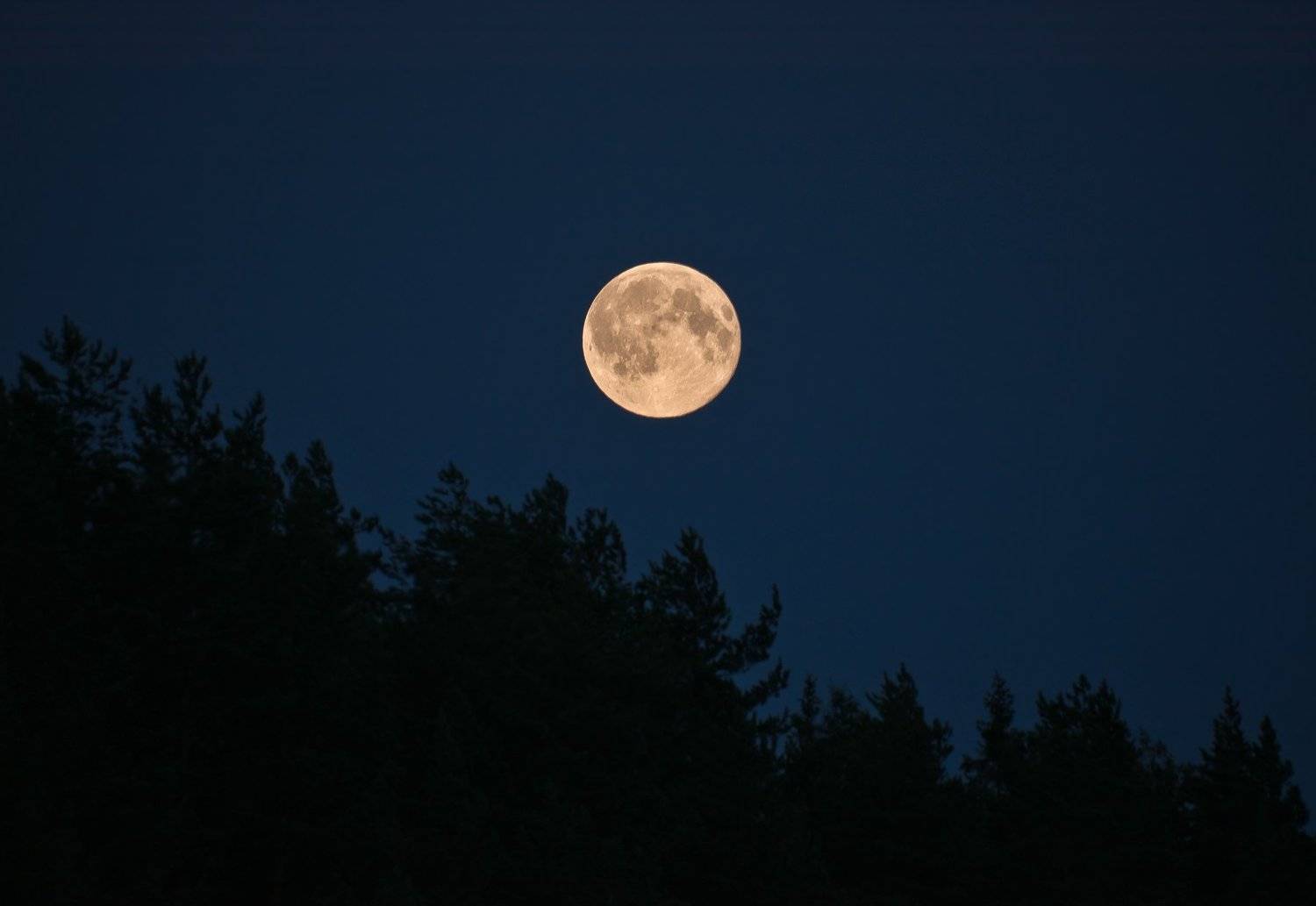 луна, ночь, полнолуние, сосны, север, карелия, лето, Ксения Соварцева