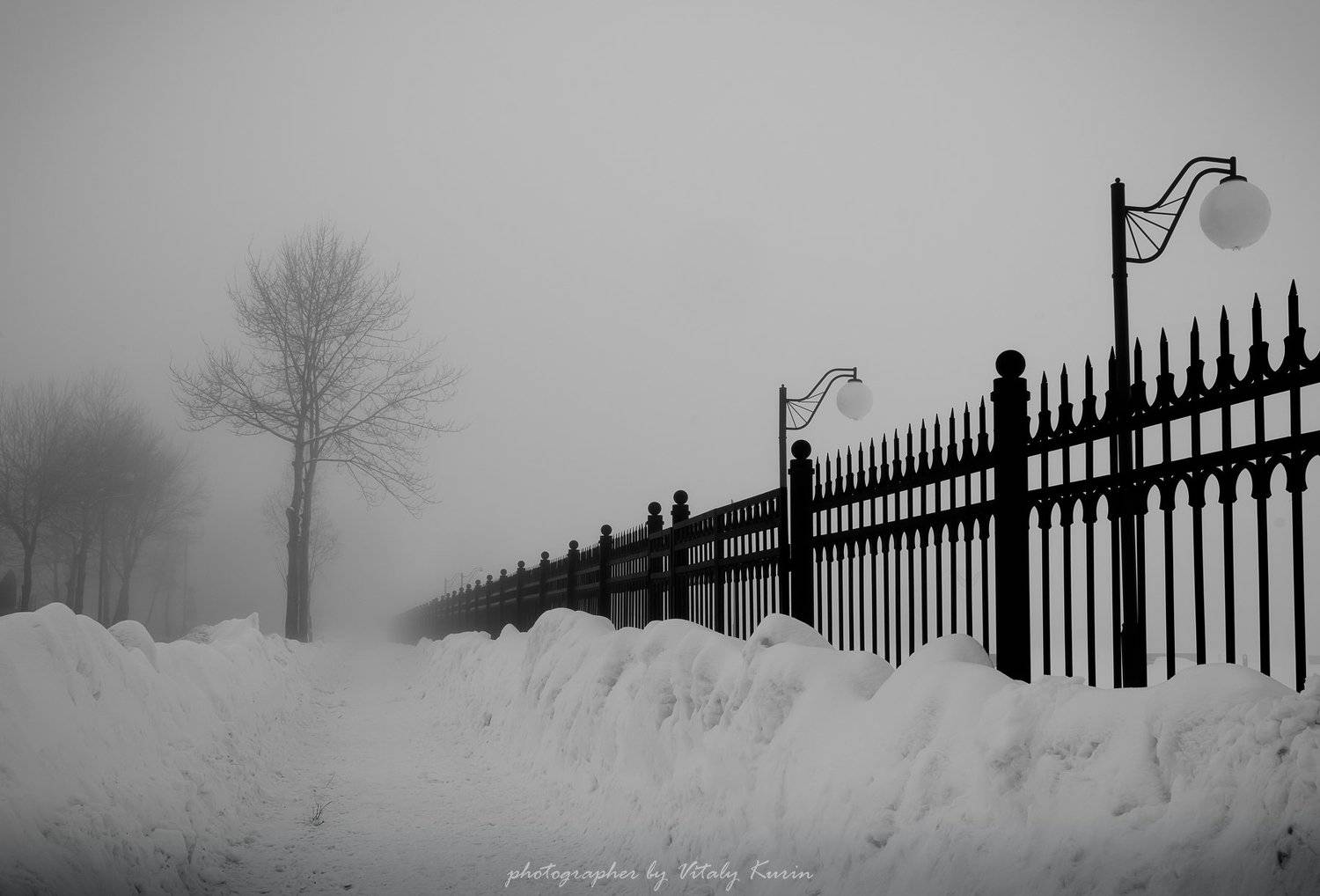 , Виталий Курин