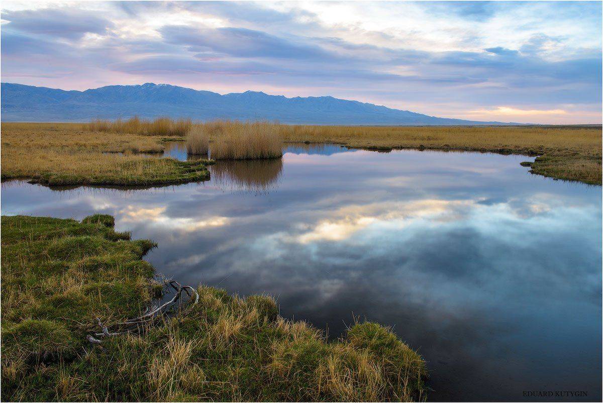 Монголия, Кутыгин, болото, озеро, весна, Зэрэг, Зерег, Кутыгин Эдуард