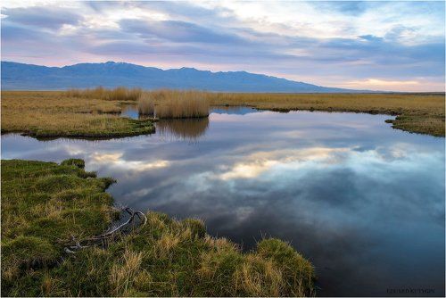 Вечернее затишье