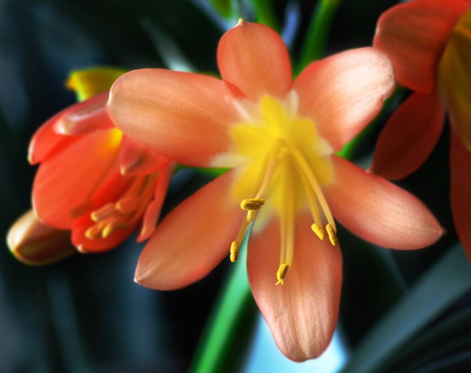 , Николай Андреев