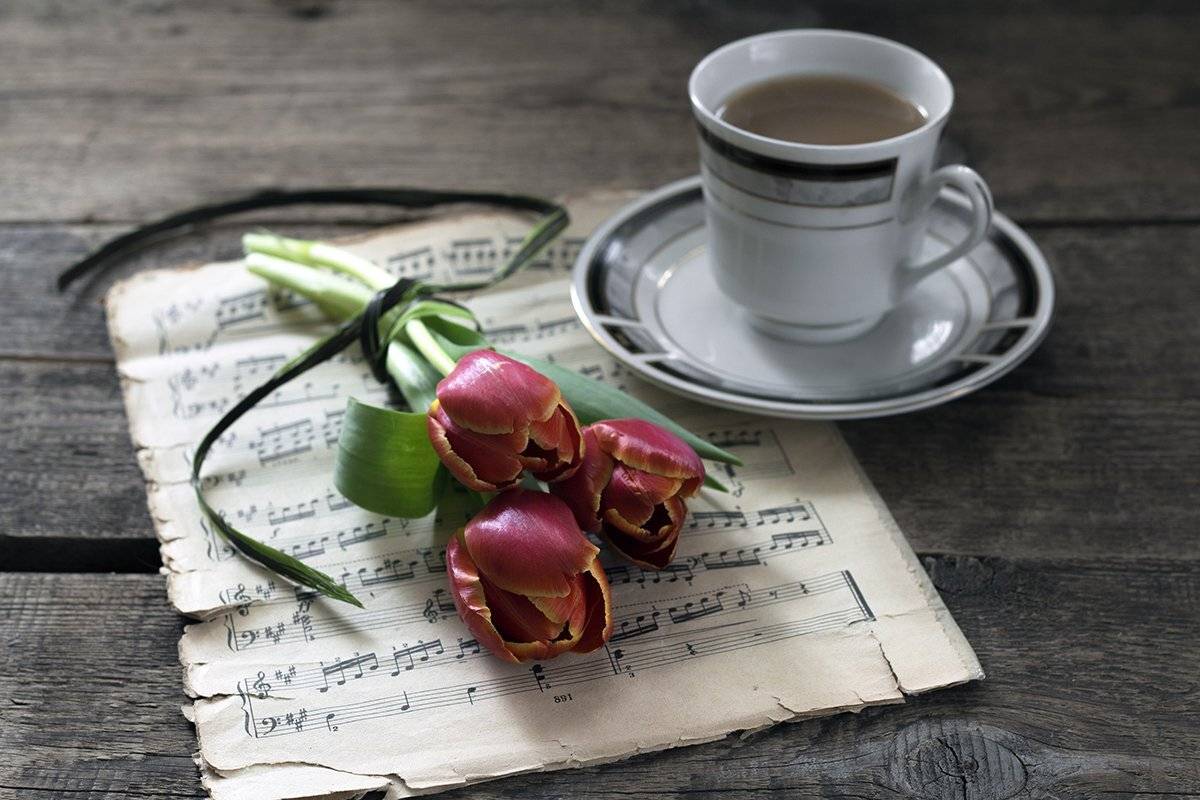 , Наталья Бочкарева