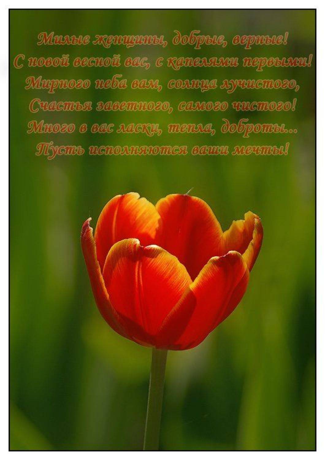 , Владимир Комышев