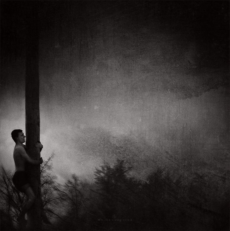 Не от терния бо чешут смоквы фото превью