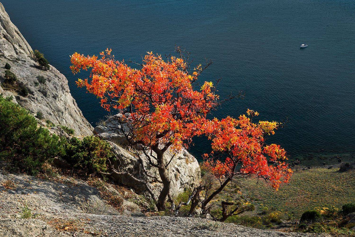 , Сергей Хромов