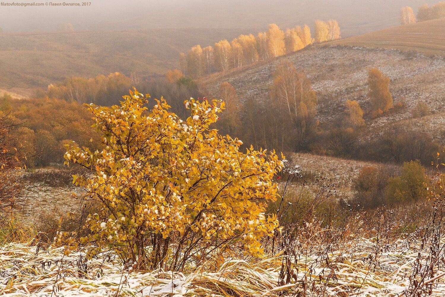 #алтай_чудеса_природы #алтай #сибирь #siberia #павел_филатов #pavel_filatov #filatovpavelaltai #осень #красногорье #красногорский_район #алтайский_край #снег #предгорья, Павел Филатов