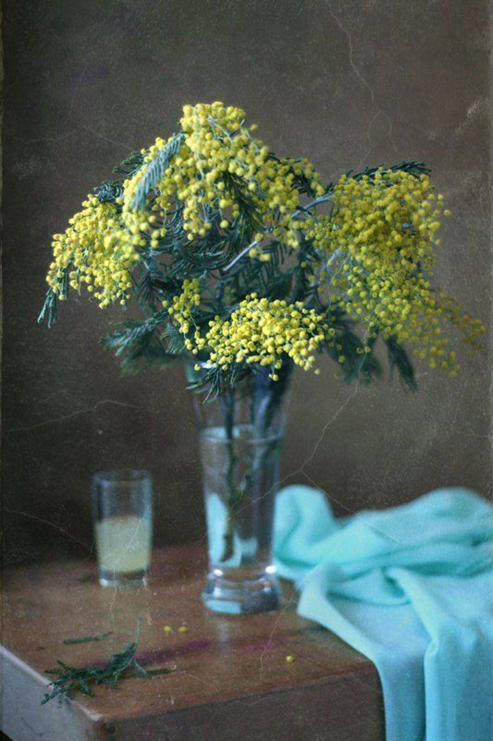 натюрморт, цветы, мимоза, весна, Курочкина Диана