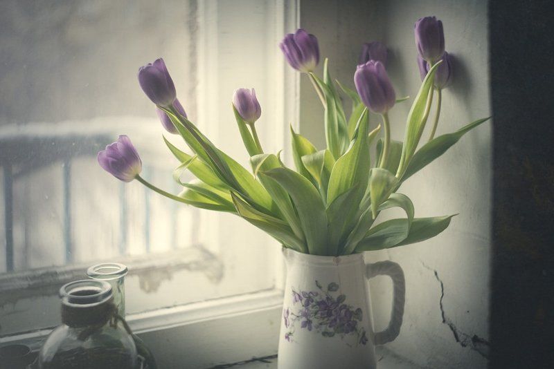 тюльпан, тюльпаны, цветы, ваза, окно, подоконник, весна, день, кувшин, фиолетовый Букет тюльпанов фото превью