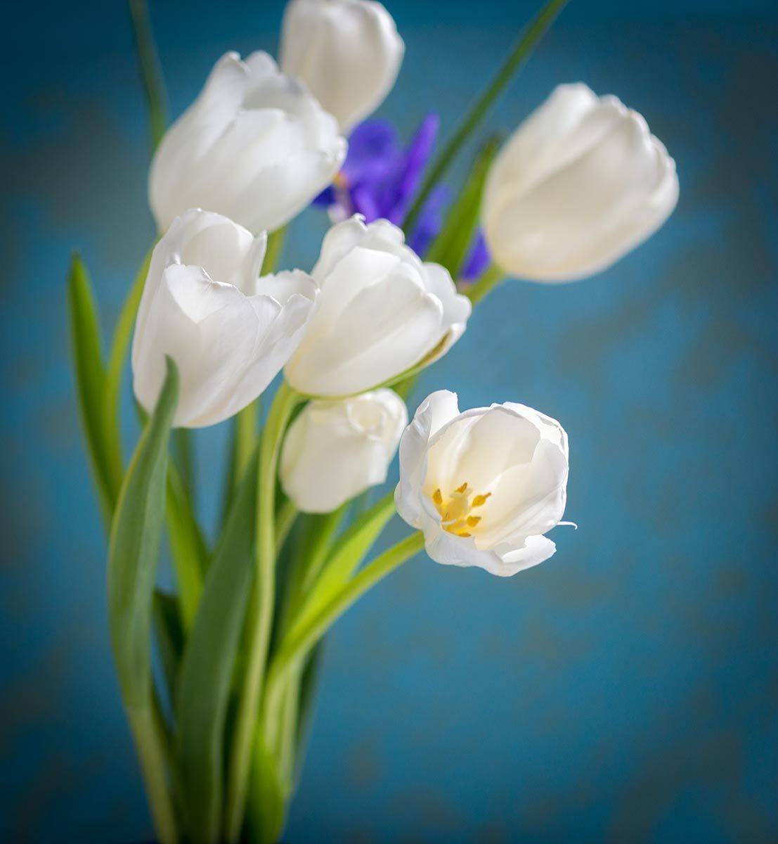 , Наиля Гарифуллина