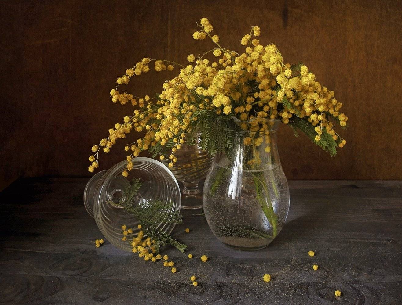 , ТАТЬЯНА ЗАХАРОВА