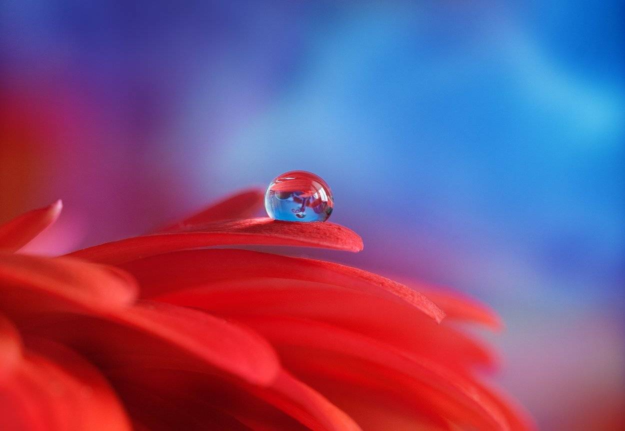 , Кабыжакова Валерия