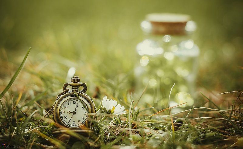 clock, watch, time, jar, grass, spring, green, old, vintage, Spring Time фото превью