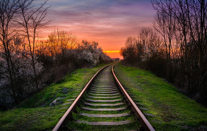 rail, train, sunset, spring, grass, sky, clouds, railway, railroad, Railroad sunset фото превью