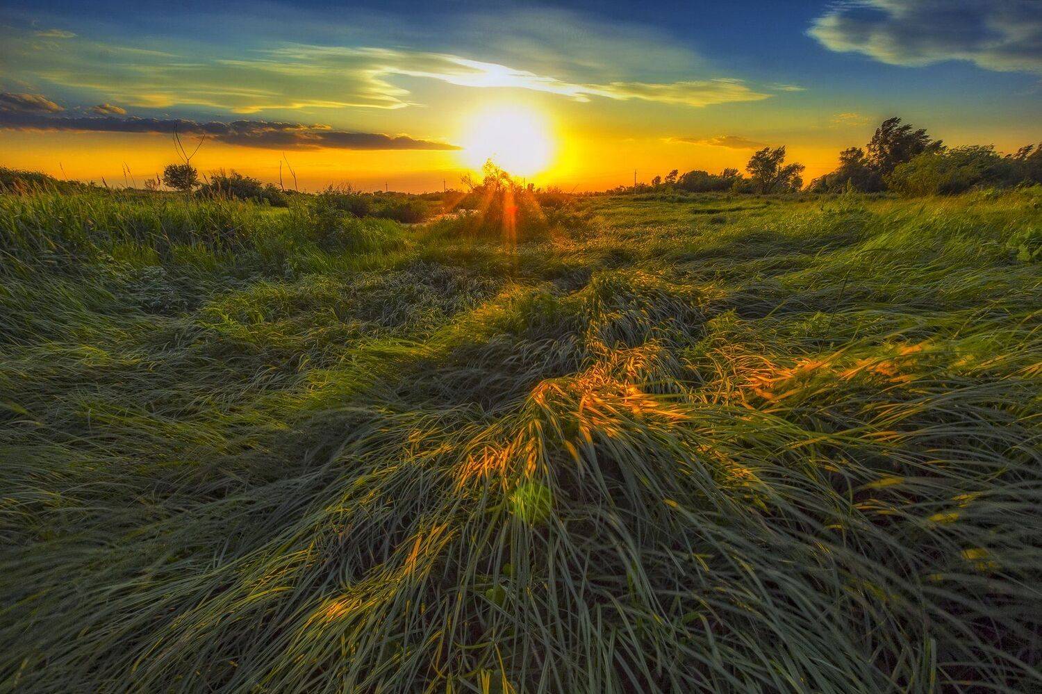 , Павел Сагайдак