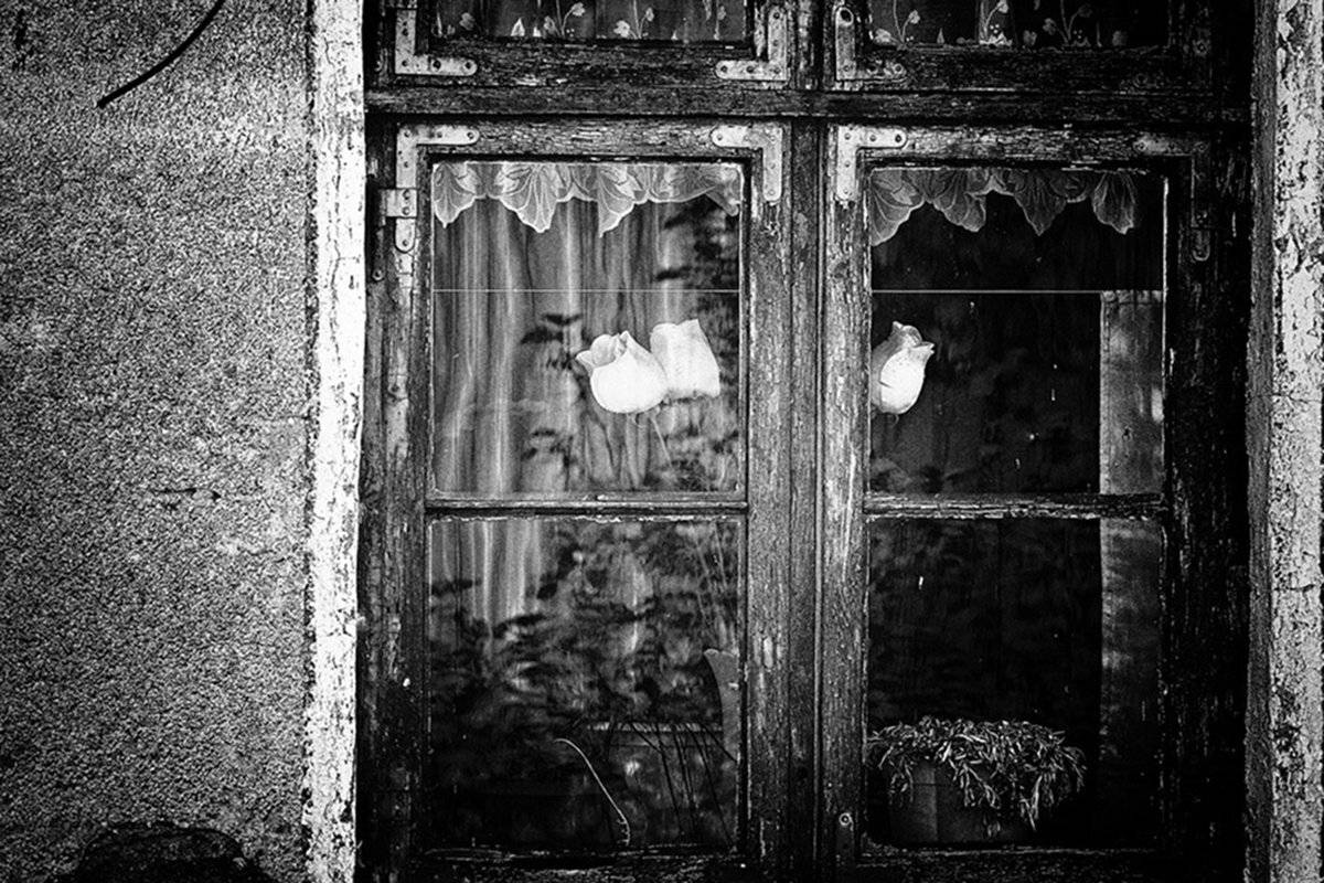 , Геннадий Новов