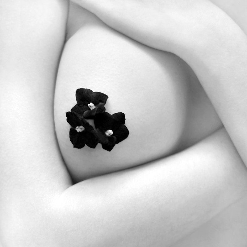 Fragments фото превью