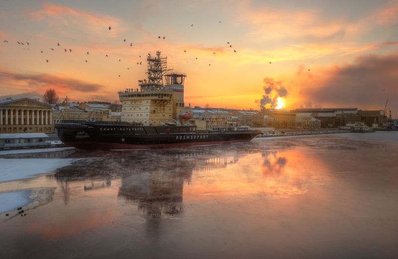 Любимец фотографов и птиц - ледокол \