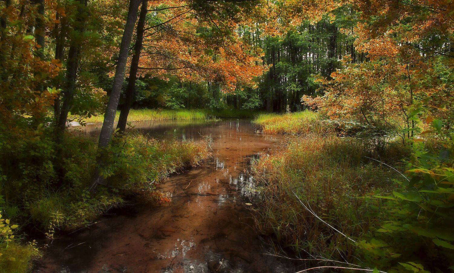 природа,лето,беларусь, Sixten ( Сергей )