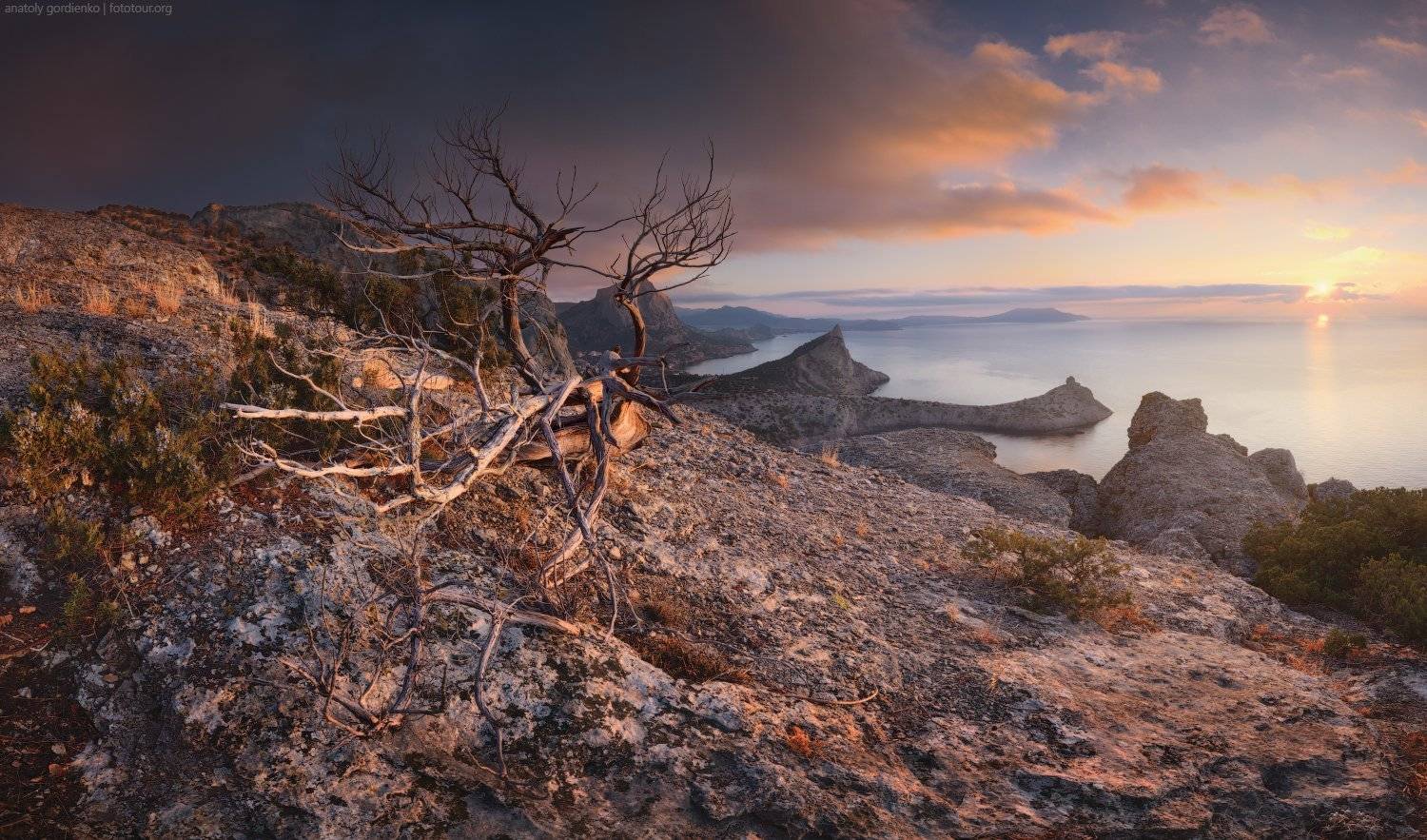 , Анатолий Гордиенко