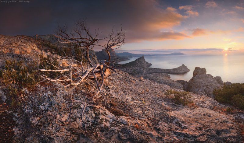 Парадиз фото превью