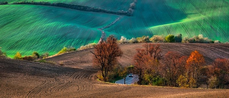 Ziara фото превью