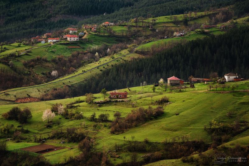 Rhodope Mountain фото превью