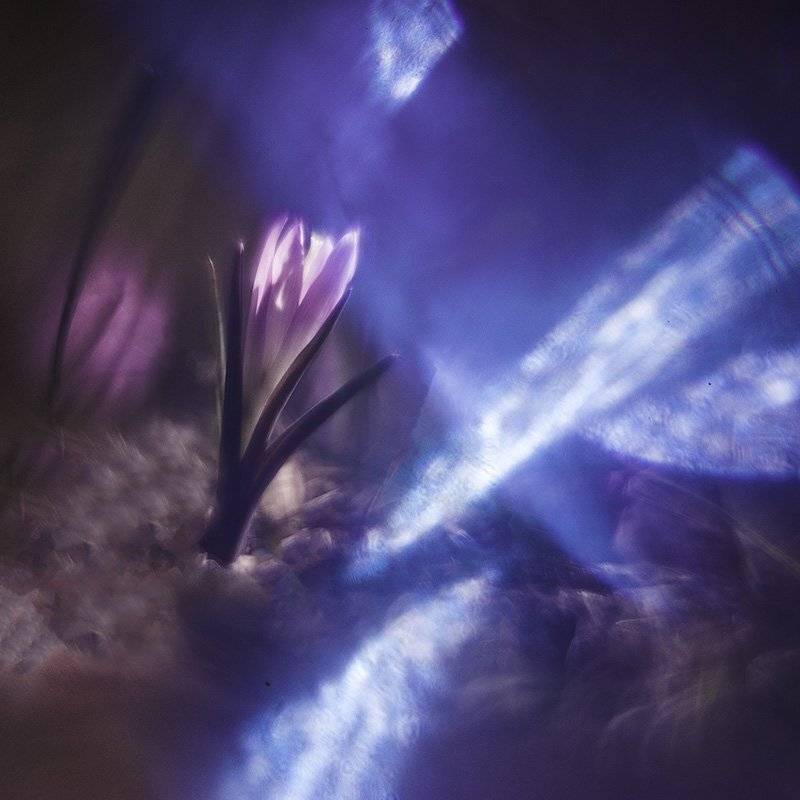 , Татьяна Аверина