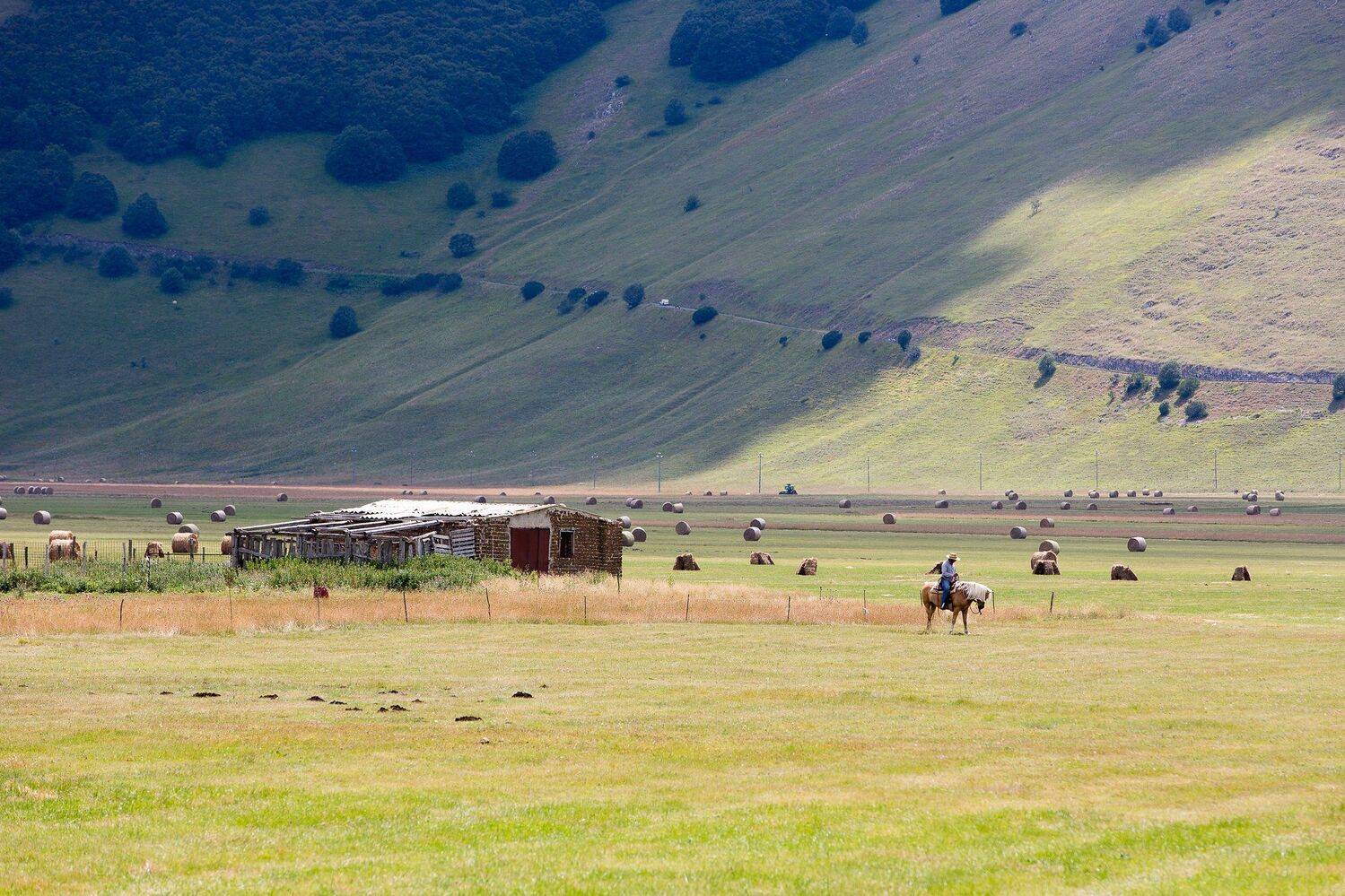 , Лядимов Дмитрий