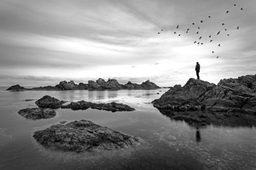 Loneliness 