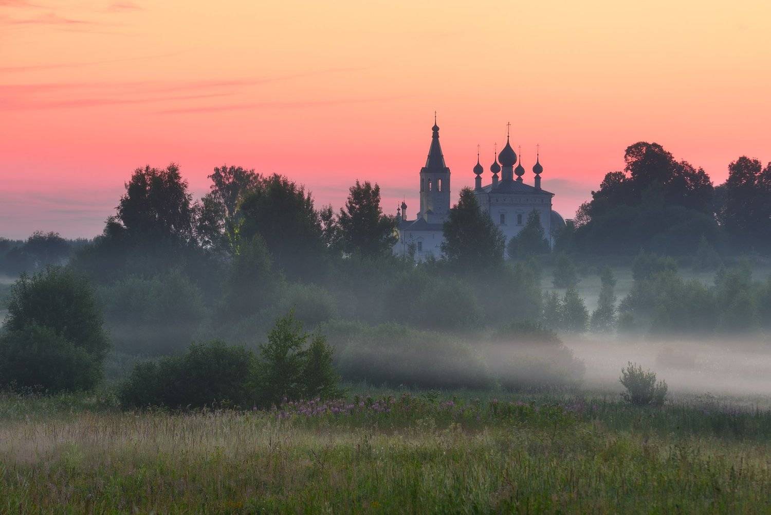 , Максим Евдокимов ( www.wildphotorus.ru )