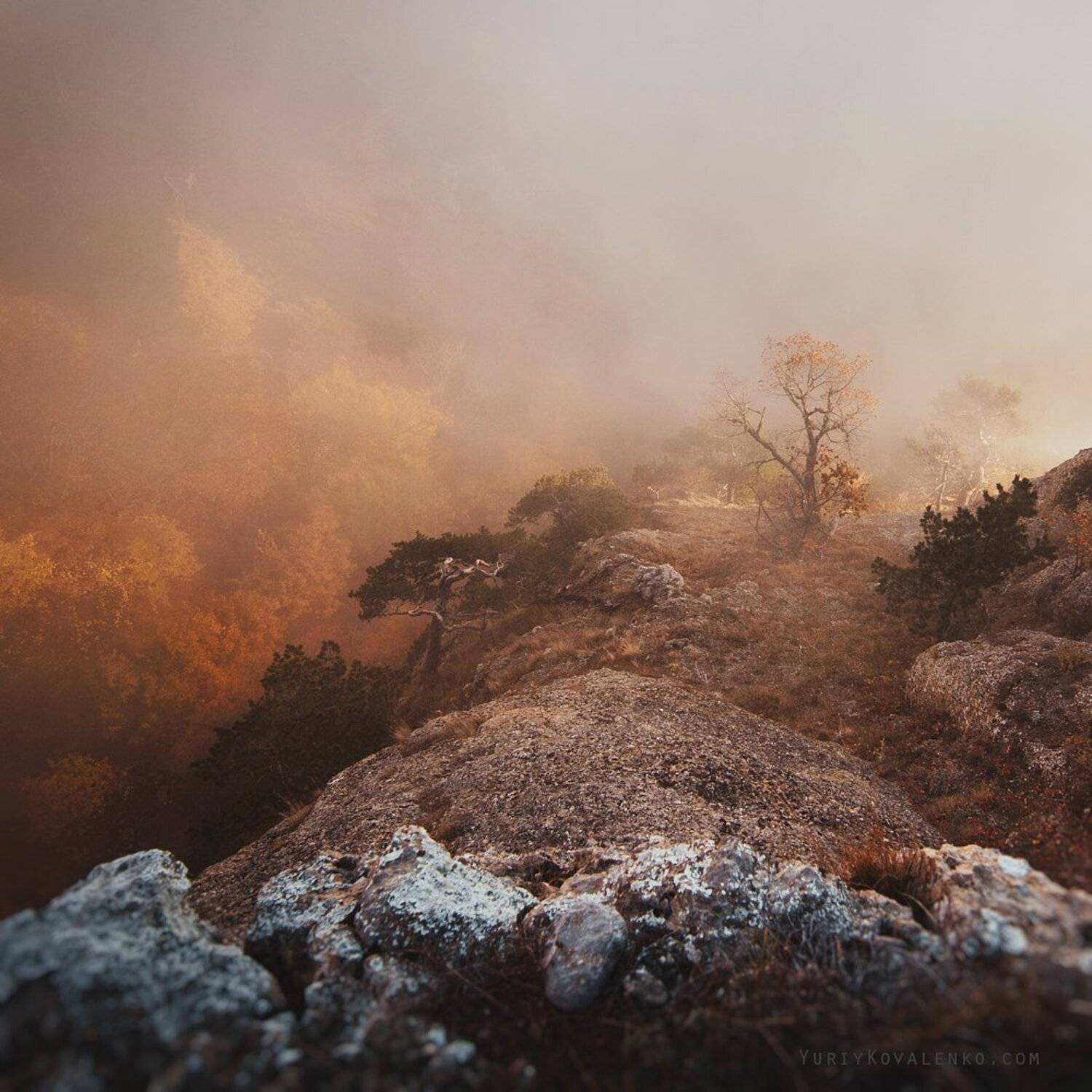 крым, Юрий Коваленко