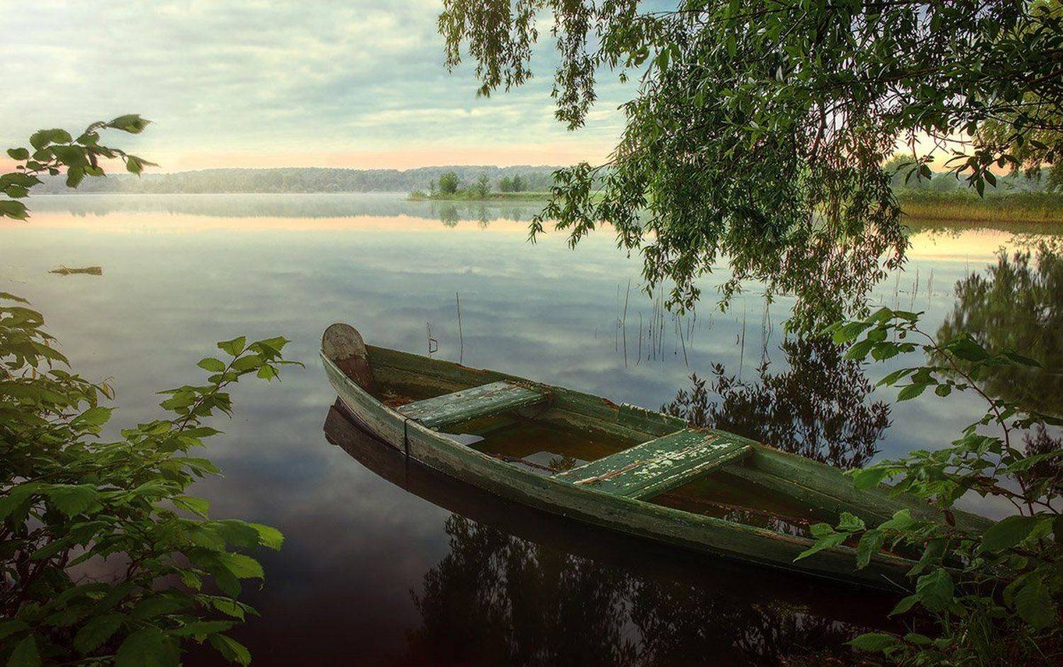 фотограф киев, Kantsyrenko Sergey