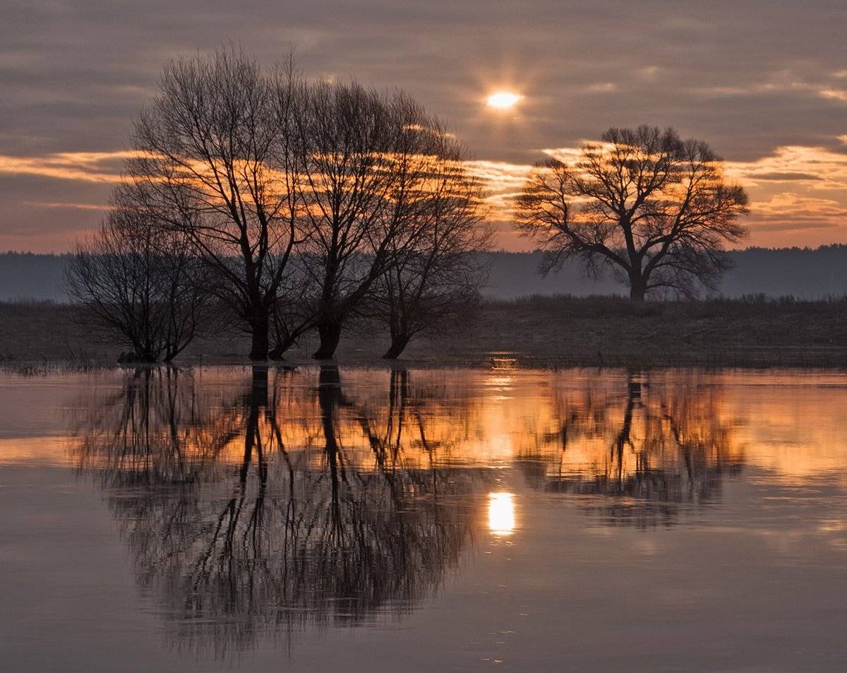 , Валерий Кондратов